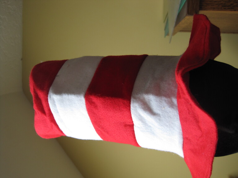 Costume Dr Suess